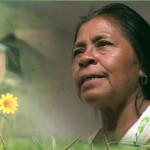 Mujeres indígenas presas por delitos contra la salud