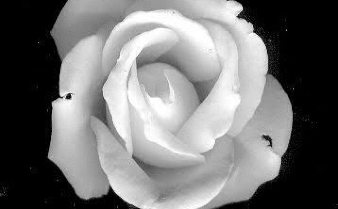 flor