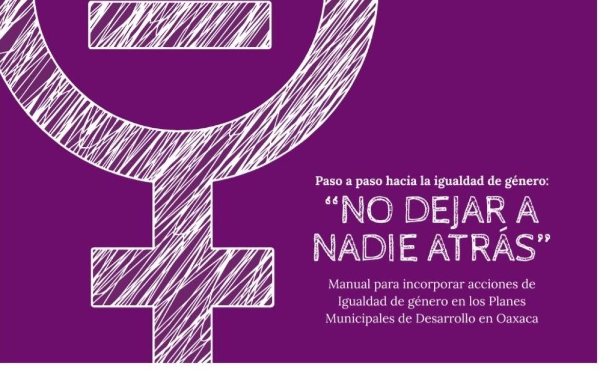 Manual-paso-a-paso-1-987×600-1