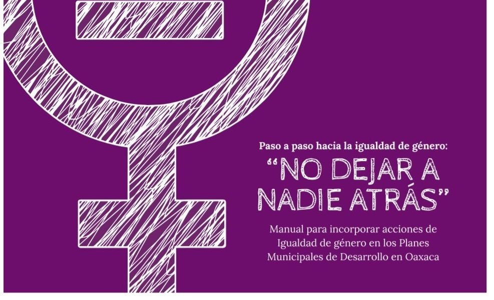 Manual-paso-a-paso-1-987×600-1