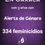 Alerta por Violencia de Género a tres años: