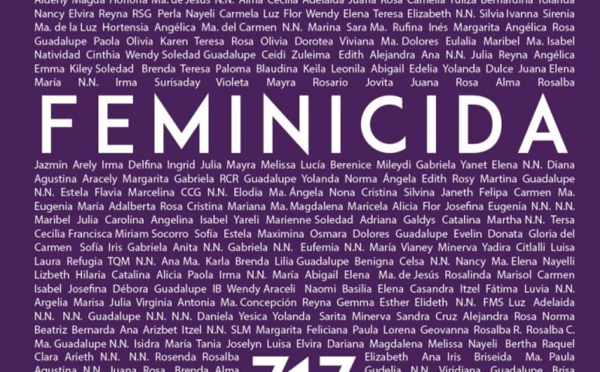 oaxaca-feminicida-768×1152