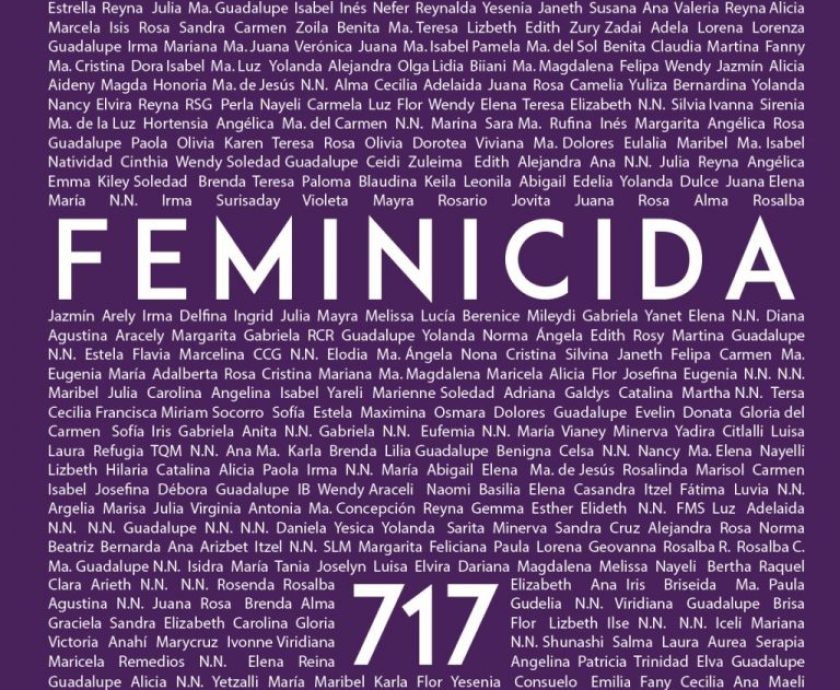 oaxaca-feminicida-768×1152